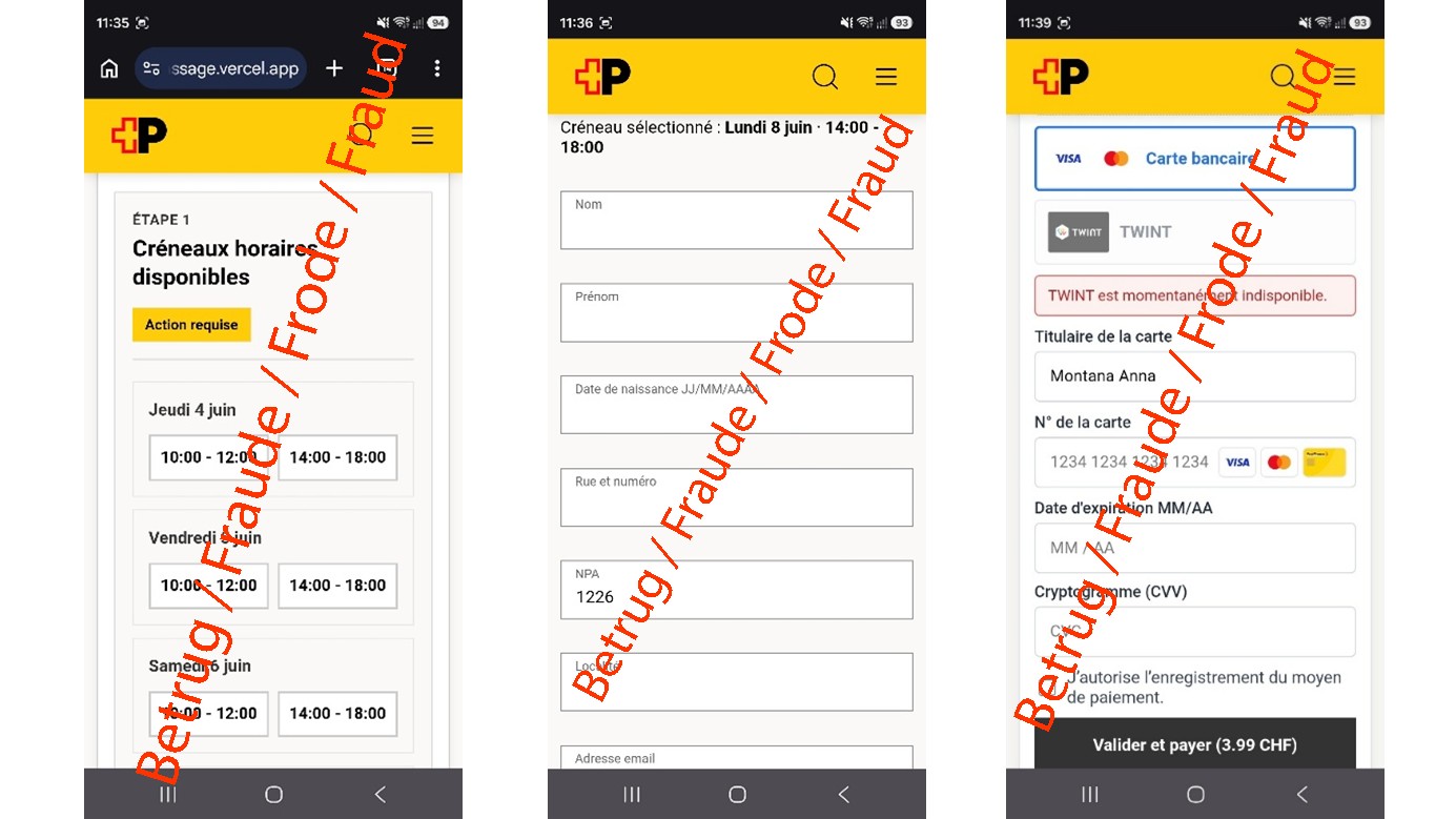 Drei Screenshots mit Eingabemasken, welche den Betrügern persönliche Daten und Kreditkartendaten zuführen sollen.